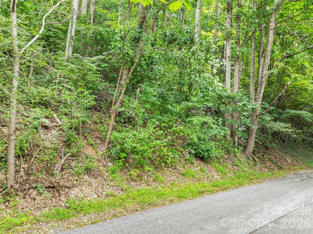 1.54 Acres Breezeway Drive, Asheville, NC 28803