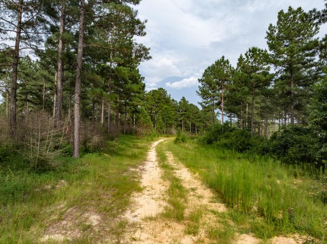 Parcel 15 The Frontier, Hattiesburg, MS 39402