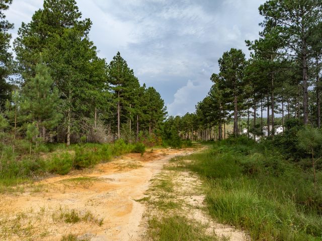 Parcel 15 The Frontier, Hattiesburg, MS 39402