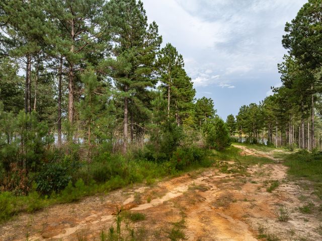 Parcel 15 The Frontier, Hattiesburg, MS 39402