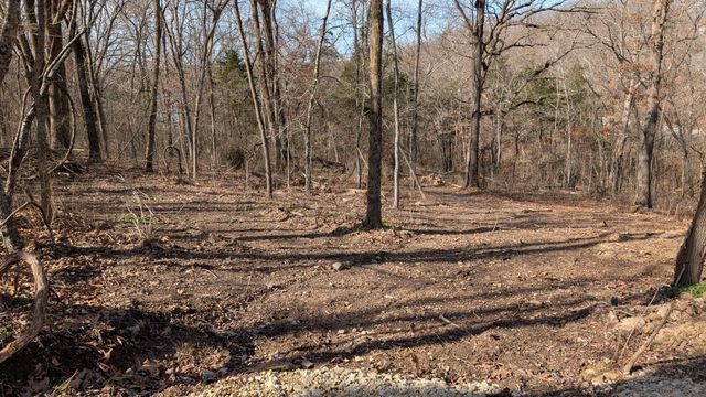 25173 Farm Road 1266, Shell Knob, MO 65747