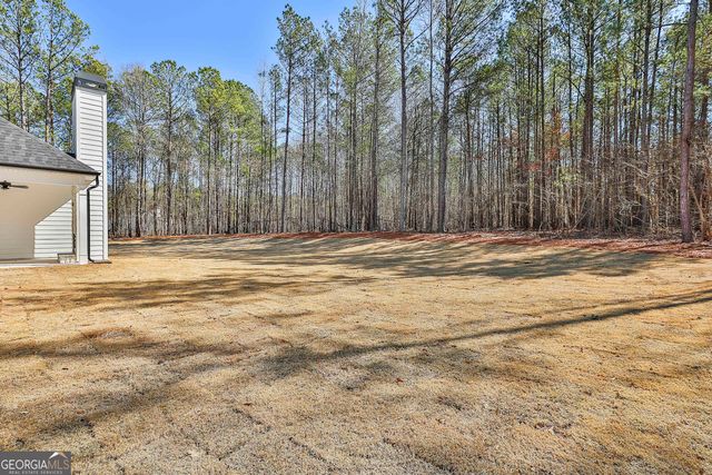 1075 MCINTOSH TRAIL.-LOT1 1, Senoia, GA 30276