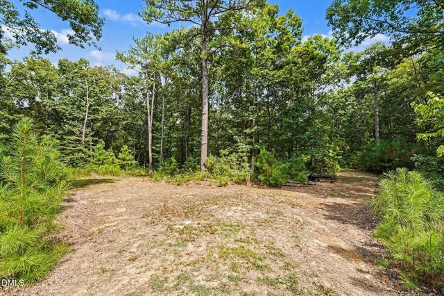 Tbd Reno Sharps Store Road, Bear Creek, NC 27207