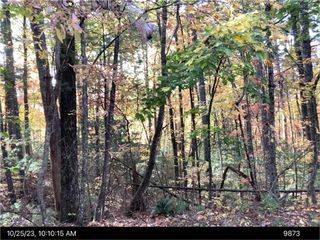 - Andros Court, Ellijay, GA 30540