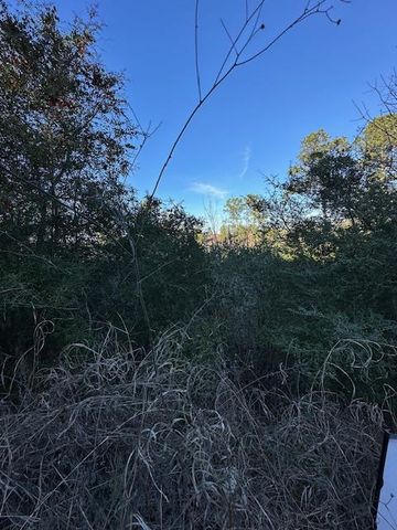 0 TBD Kula CT, Bastrop, TX 78602