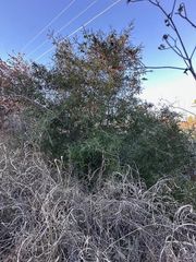 0 TBD Kula CT, Bastrop, TX 78602