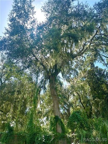 7014 S Aloysia Avenue, Floral City, FL 34436