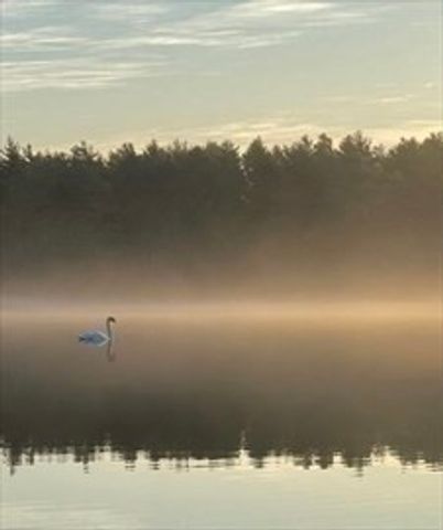 8 Winterberry Ln, Wareham, MA 02571