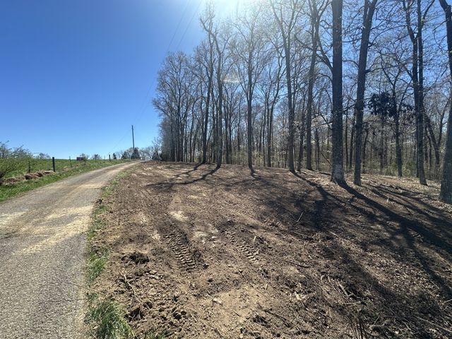 0 Arnold Thomas Rd, Silver Point, TN 38582