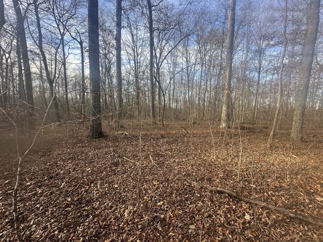 0 Arnold Thomas Rd, Silver Point, TN 38582