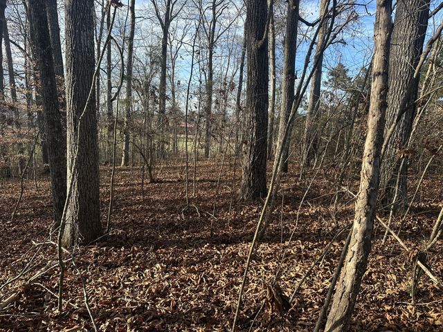 0 Arnold Thomas Rd, Silver Point, TN 38582