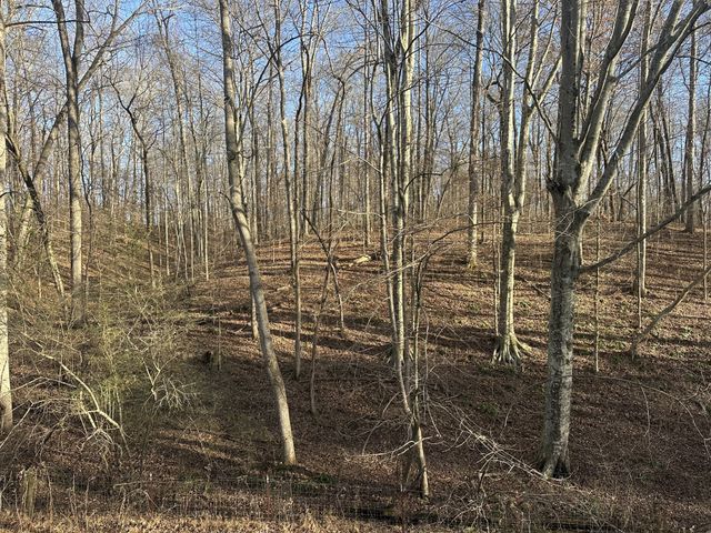 0 Arnold Thomas Rd, Silver Point, TN 38582