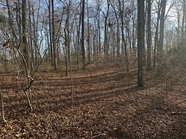 0 Arnold Thomas Rd, Silver Point, TN 38582