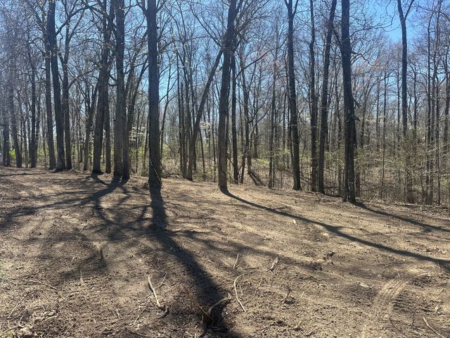 0 Arnold Thomas Rd, Silver Point, TN 38582