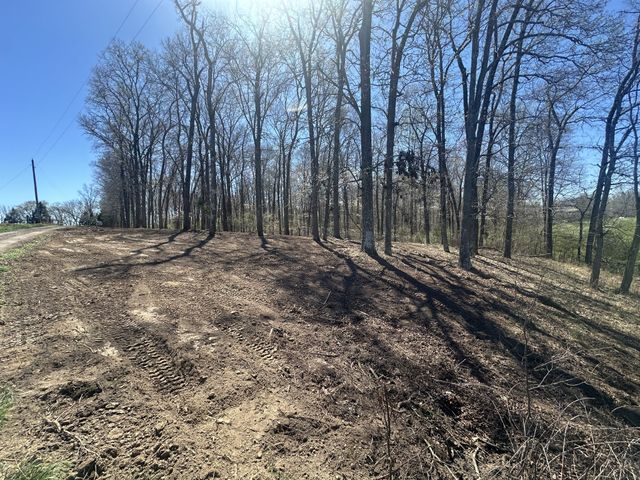 0 Arnold Thomas Rd, Silver Point, TN 38582