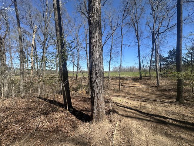 0 Arnold Thomas Rd, Silver Point, TN 38582