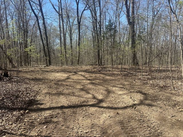 0 Arnold Thomas Rd, Silver Point, TN 38582
