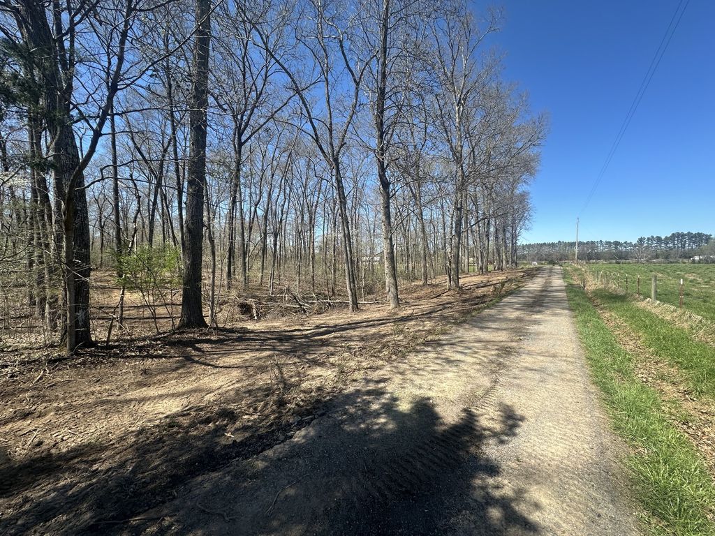 0 Arnold Thomas Rd, Silver Point, TN 38582