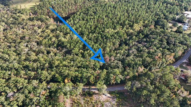 1.25 AC Pleasant Ridge Road, Defuniak Springs, FL 32435