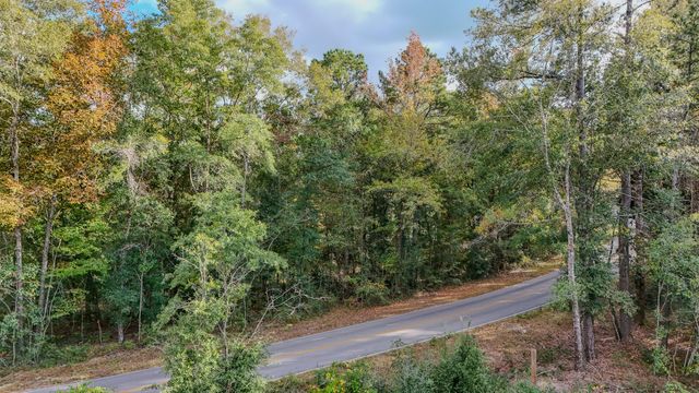 1.25 AC Pleasant Ridge Road, Defuniak Springs, FL 32435