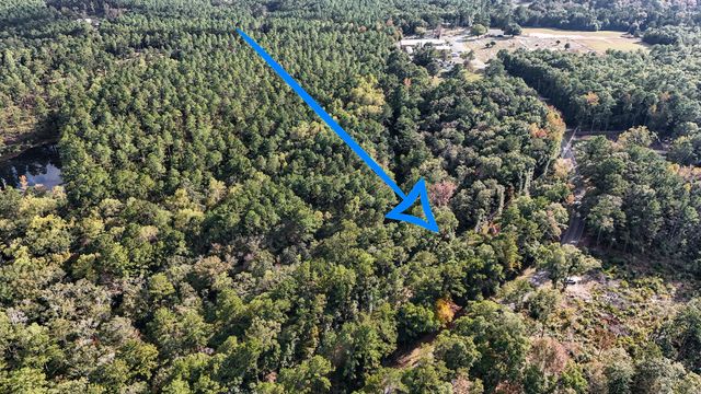 1.25 AC Pleasant Ridge Road, Defuniak Springs, FL 32435
