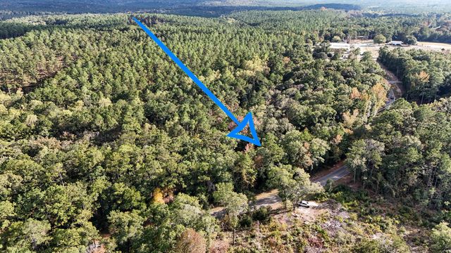 1.25 AC Pleasant Ridge Road, Defuniak Springs, FL 32435