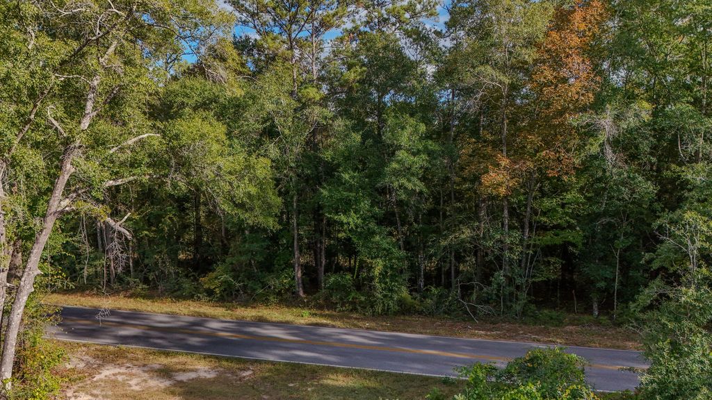 1.25 AC Pleasant Ridge Road, Defuniak Springs, FL 32435