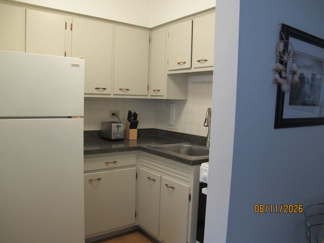 426 W Barry Avenue 409, Chicago, IL 60657