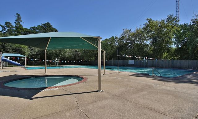 17711 Ravenno Lane, Spring, TX 77379