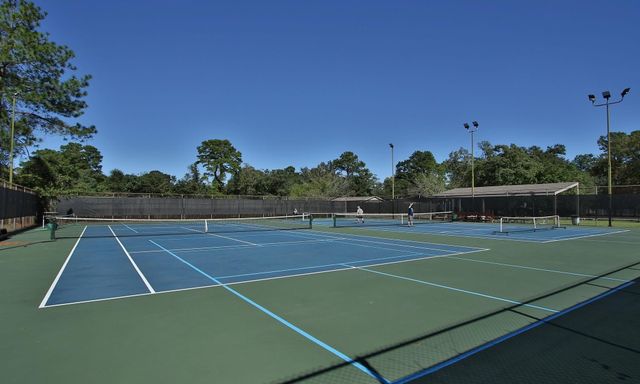 17711 Ravenno Lane, Spring, TX 77379