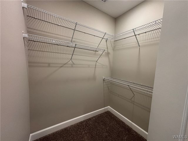 12157 Patriot Drive, Brookwood, AL 35444