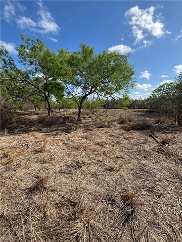 369 Edith Dr, Alice, TX 78332