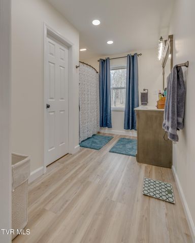 132 Shannon View Road, Gray, TN 37615