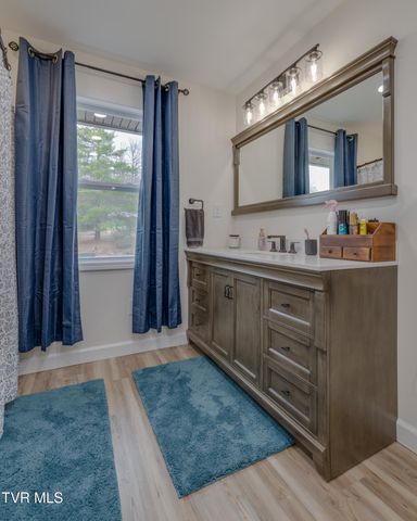 132 Shannon View Road, Gray, TN 37615