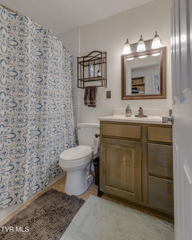 132 Shannon View Road, Gray, TN 37615