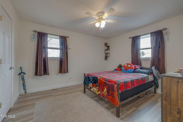 132 Shannon View Road, Gray, TN 37615