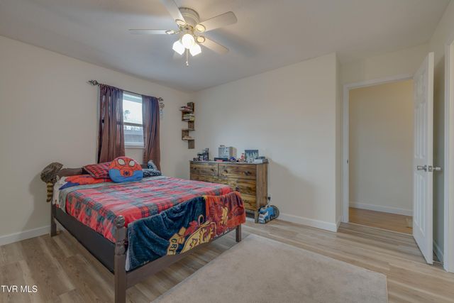 132 Shannon View Road, Gray, TN 37615