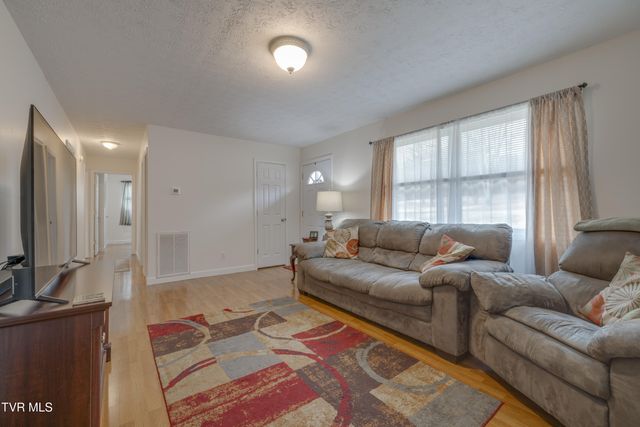 132 Shannon View Road, Gray, TN 37615