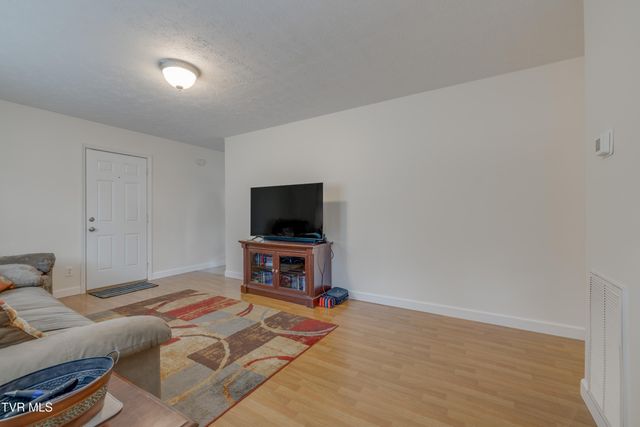 132 Shannon View Road, Gray, TN 37615