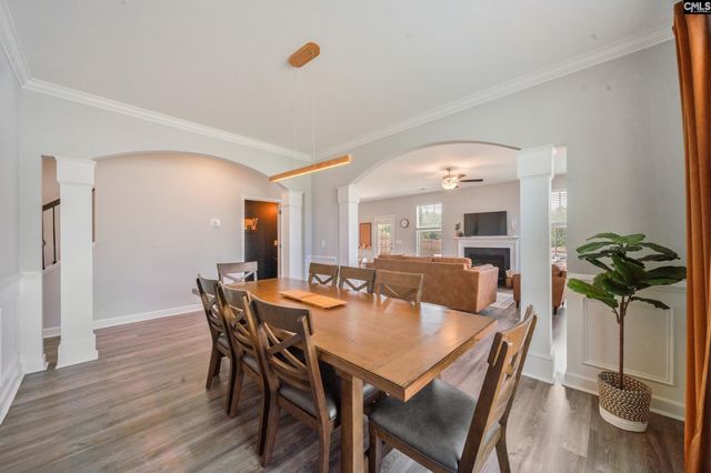 564 Malachite Lane, Chapin, SC 29036