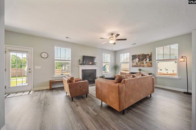 564 Malachite Lane, Chapin, SC 29036