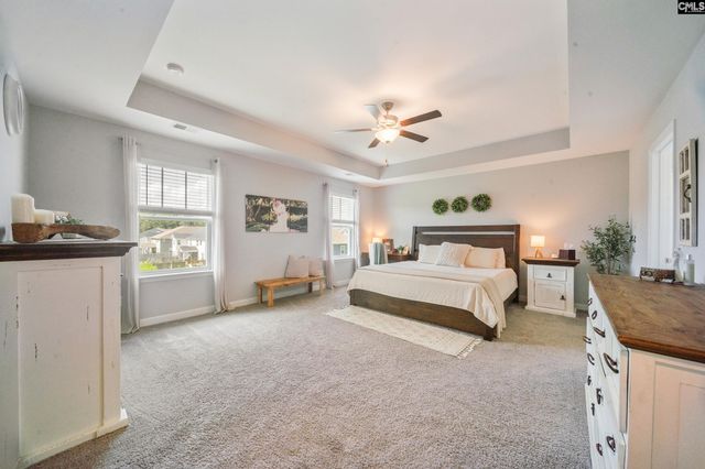 564 Malachite Lane, Chapin, SC 29036