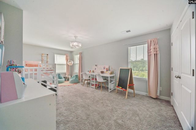 564 Malachite Lane, Chapin, SC 29036