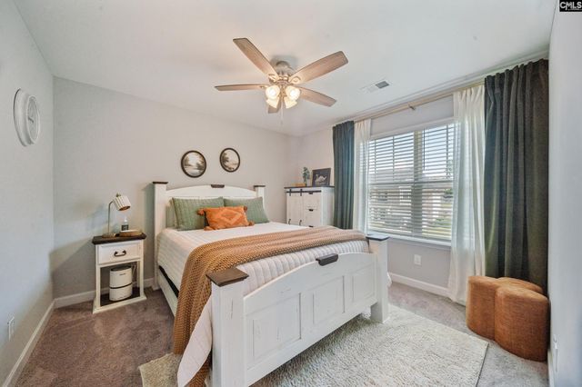 564 Malachite Lane, Chapin, SC 29036
