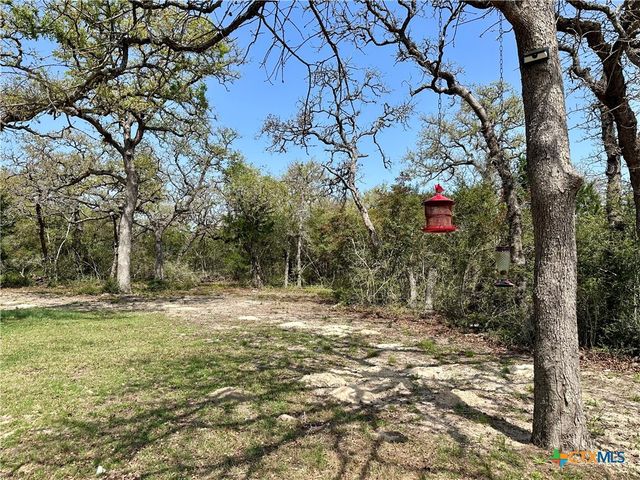 1021 Lewis Lane, Harwood, TX 78632