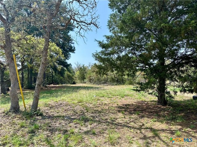 1021 Lewis Lane, Harwood, TX 78632