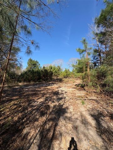 188 Hant Hill Road, Livingston, TX 77351