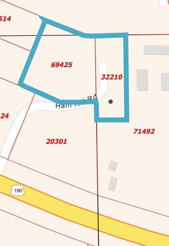 188 Hant Hill Road, Livingston, TX 77351