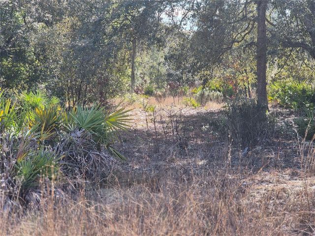 00 NE 78TH LANE, Bronson, FL 32621