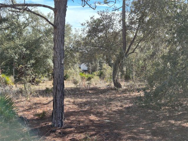 00 NE 78TH LANE, Bronson, FL 32621